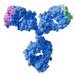 molecule 3