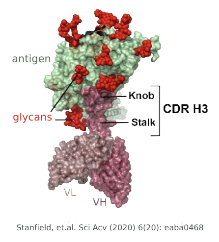 molecule 5